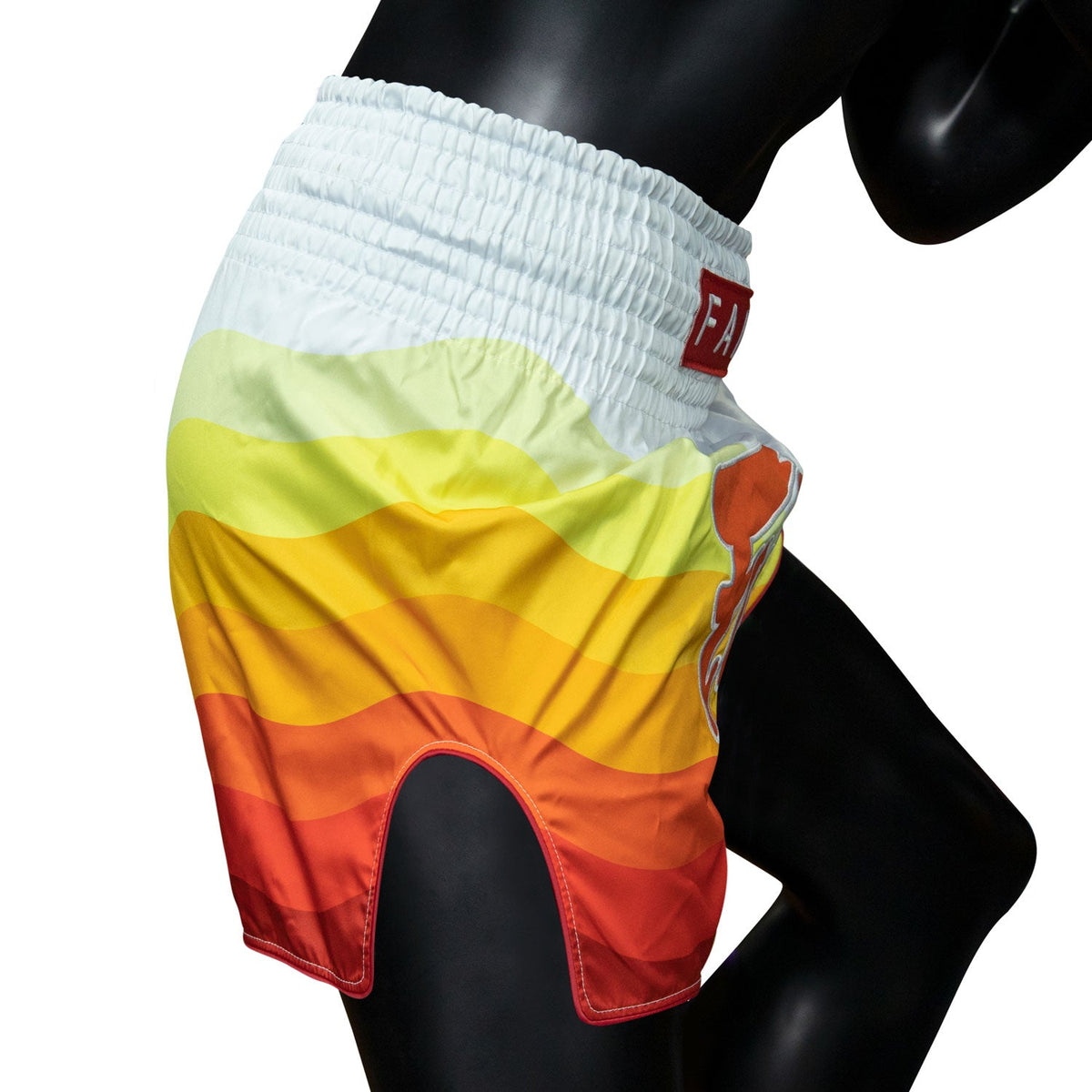 Fairtex BS1932 Muaythai Shorts - Spectrum