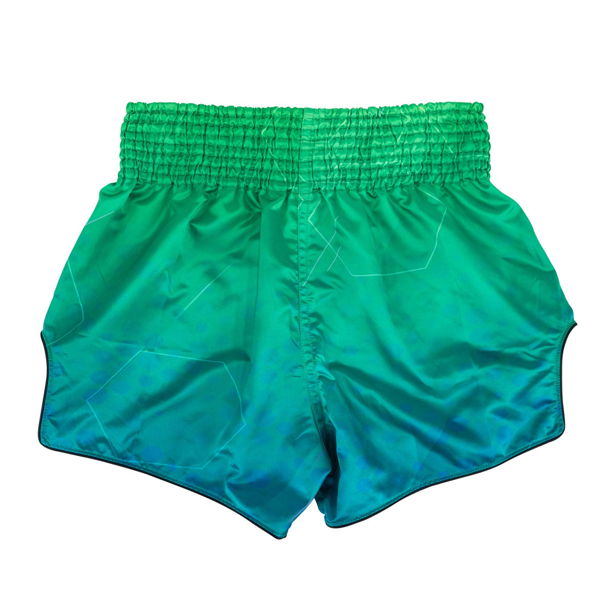 Fairtex BS1953 Muaythai Shorts - Quantum