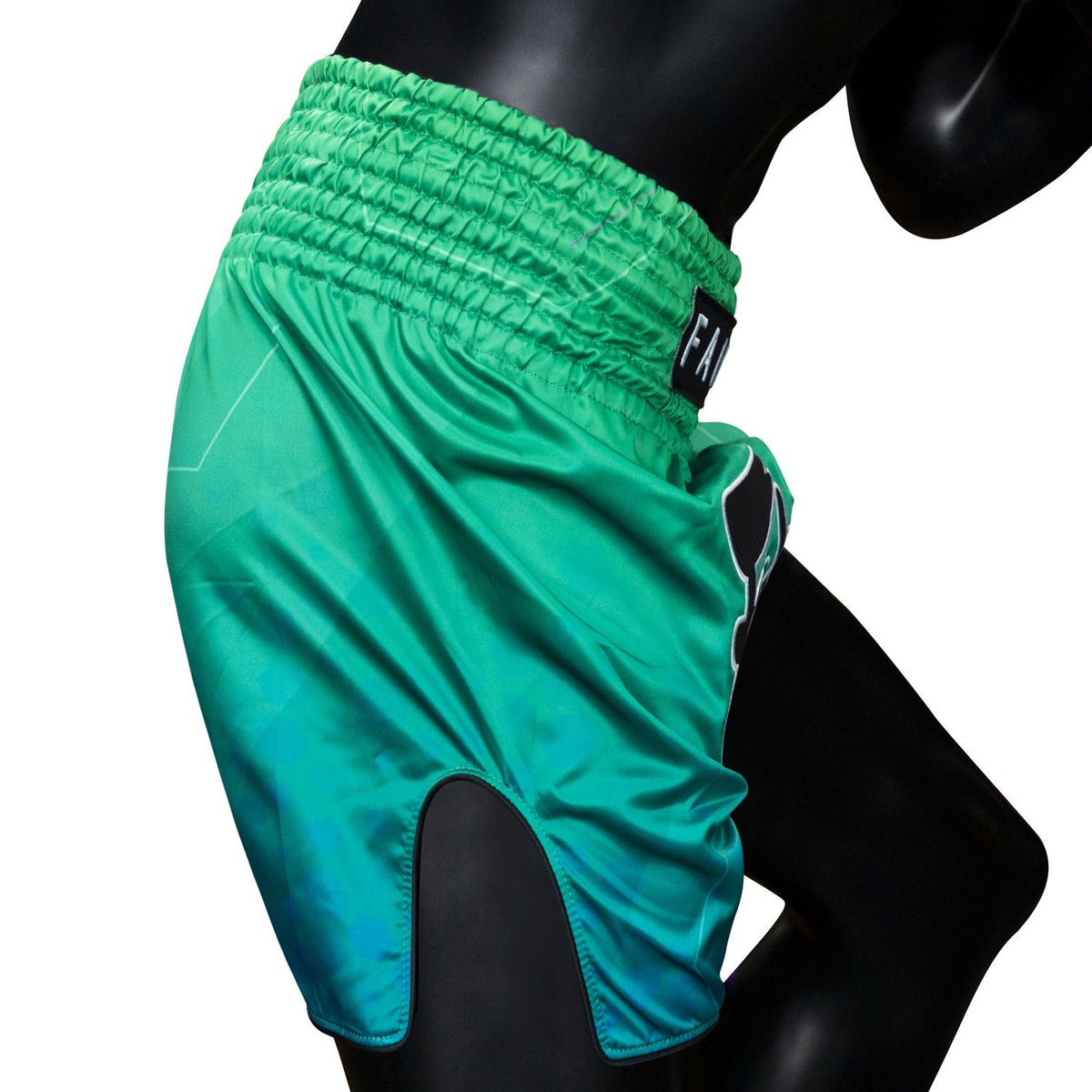 Fairtex BS1953 Muaythai Shorts - Quantum